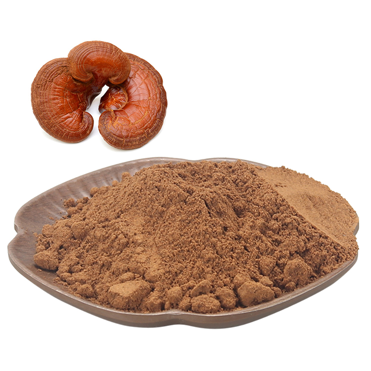Longevity Support Formula with Forest Mushrooms